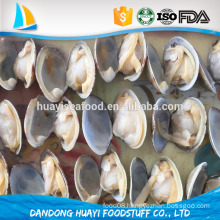 high quality wild seawater shellfish frozen baby clam